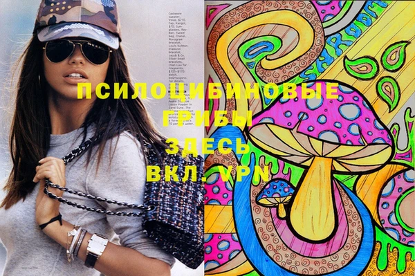 spice Армянск