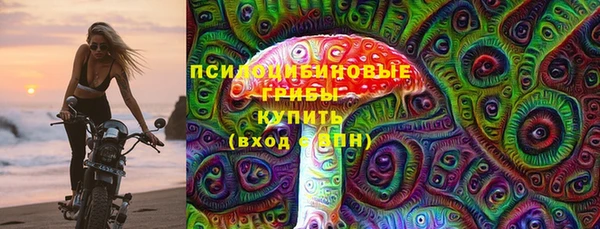 ПСИЛОЦИБИНОВЫЕ ГРИБЫ Аркадак