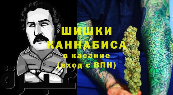ПСИЛОЦИБИНОВЫЕ ГРИБЫ Аркадак