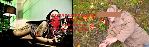 ПСИЛОЦИБИНОВЫЕ ГРИБЫ Аркадак