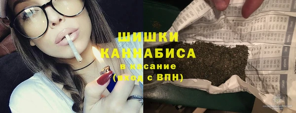 ПСИЛОЦИБИНОВЫЕ ГРИБЫ Аркадак