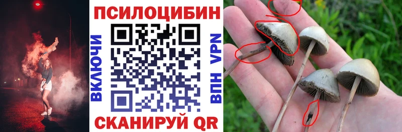 где можно купить   Саки  Псилоцибиновые грибы GOLDEN TEACHER 
