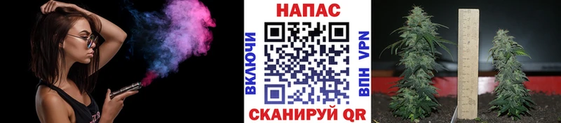 Шишки марихуана планчик  Саки 